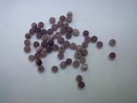 Cat's eye Round