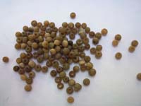 Cat's eye Round