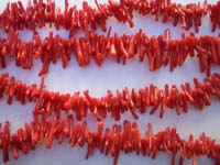 Coral Sticks