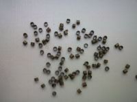Crimp Bead