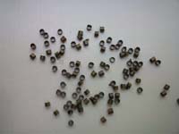 Crimp Bead