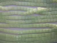 Cubes 6mm