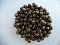 Metal Beads Bronze