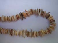 Shell Chips