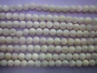 Shell Beads