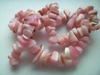 Shell Chips