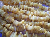 Shell Chips