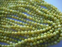 Shell Beads