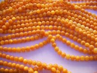 Shell Beads