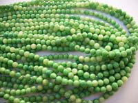 Shell Beads