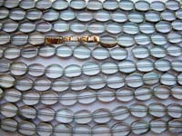 Window Bead